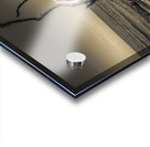 Hunting Island Beach Driftwood Shadows Acrylic print