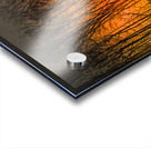 Georgia Forest Orange Sunset Silhouettes Acrylic print