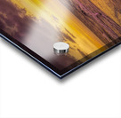 Sunrise Heron Winter Beach Landing Acrylic print