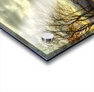 Blue Ridge Parkway Overlook Autumn Sunset Acrylic print