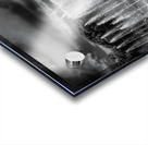 Frankfurt Botanical and Palmengarten Fountains Acrylic print