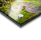 Breakfast at Peaks of Otter Acrylic print