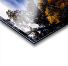 Autumn on the Blue Ridge Parkway Acrylic print