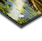 Turtle Row Spa Line Up Acrylic print