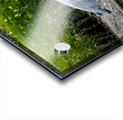 The Heron Strut Acrylic print