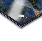 Painted Turtle Basking in the Sun Acrylic print