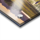 Hilton Head Wetlands Marsh Acrylic print