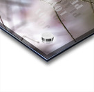 Red Cardinal Bird Joy Love Peace Acrylic print