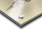 Old Charleston Church  Acrylic print