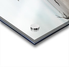 Botany Bay Tree 2 Acrylic print