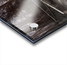 Booker T Washington Monument Barn and Buggy Acrylic print