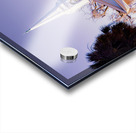 Waccamaw River Church Acrylic print