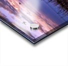 Port of Canaveral Container Ships Sunset Acrylic print