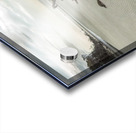 Beach Tree Relics Acrylic print