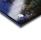 Winter Wanderings at Lake Martin Louisiana Acrylic print