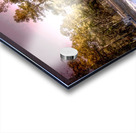 Story of an Old Francis Marion National Forest Church Acrylic print