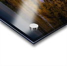 South Carolina  Marsh Heron Sunrise Acrylic print