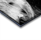 Abstract  Bald Cypress Tree Root Patterns in Black and White Acrylic print