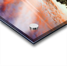 Airplane Contrails in the Sky Acrylic print