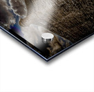 St. Augustine Fortress Acrylic print