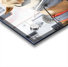 Charleston Rainbow Row Carriage and  Horse  Acrylic print