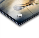 Big Beautiful Strutting Bird Acrylic print