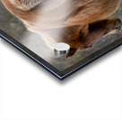 Paired Together Acrylic print