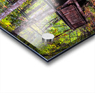 Wrong Way Home Acrylic print