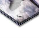 Along for the Ride Acrylic print