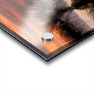 Every Day a Miracle Acrylic print