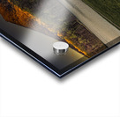 Say Goodnight World Acrylic print