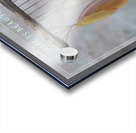 Beauty in Simplicity Acrylic print