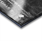 Pathway Through the Marsh Acrylic print