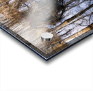 The Golden Triumvirate Acrylic print