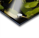 In Remembrance of Summer Acrylic print