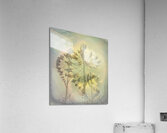 Windcatcher Abstract Art Acrylic Print