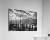 Icefield Parkway Sunset in Black and White Acrylic Print