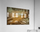 Yellowstone  Hot Springs Pool Tree Left Behind Acrylic Print