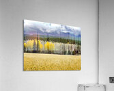 Teton Red Umbrella Acrylic Print