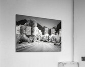 Aspen Backroad Mountain Runner Acrylic Print