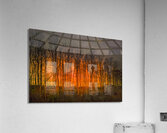 Georgia Forest Orange Sunset Silhouettes Acrylic Print