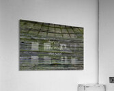 Into the Woods Muir Quote Acrylic Print