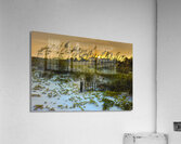 Autumn Sunset Dunes in Hilton Head Acrylic Print