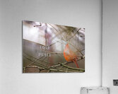 Red Cardinal Bird Joy Love Peace Acrylic Print