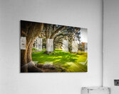 South Carolina Beaufort Live Oak Allee Acrylic Print