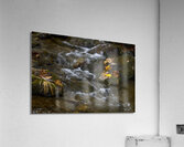 Blue Ridge Mountains River Art Acrylic Print