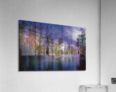 Winter Wanderings at Lake Martin Louisiana Acrylic Print