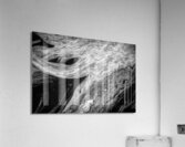 Abstract  Bald Cypress Tree Root Patterns in Black and White Acrylic Print