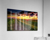 Mont Saint Michel Farm Field at Sunset Acrylic Print