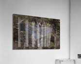 Vulture Rainbow Colors Acrylic Print